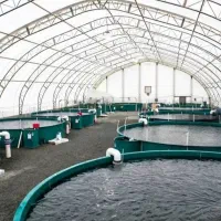 زمین مناسب احداث پرورش ماهی و گلخانه