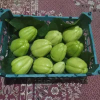شراکت در فروش سبزی و میوه