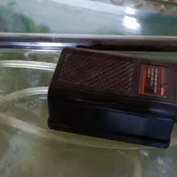 آکواریوم|ماهی|رشت, دیانتی|دیوار