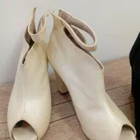 کفش مجلسی|کیف، کفش، کمربند|زنجان, |دیوار