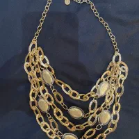 گرذنبداروپایی آب طلا