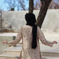 شومیز .. نو|لباس|خرم بید, |دیوار