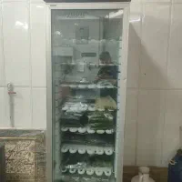 دستگاه سبزی خردکن آبلیموگیری و رب گیری ترازو فریزر|ماشینآلات صنعتی|پاکدشت, شهرک امام رضا|دیوار