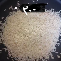 هاشمی گرگان