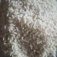 برنج هاشمی درجه یک|خوردنی و آشامیدنی|رشت, کوی بیانی|دیوار