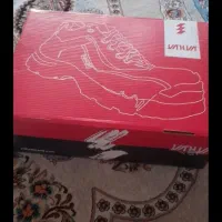 کتونی کارکفش