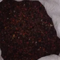 زغال اخته خشک با هسته اعلا وگوشتی درجه یک|خوردنی و آشامیدنی|جلفا, |دیوار