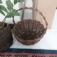 سبد میوه