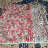جانونی به قیمت تکی ۲۵۰