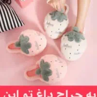 اسلیپر وارداتی