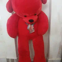 خرس عروسک|اسباب‌‌بازی|بجنورد, |دیوار