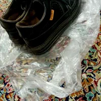 کفش پسرانه|کیف، کفش، کمربند|کرمان, |دیوار