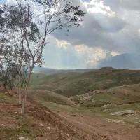 زمین تجاری سی متری نه دی