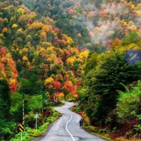 تور شمال کشور  قیمت مناسب