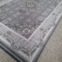 صدف|فرش|مشکیندشت, |دیوار