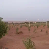 فروش-باغ-بادام-700-متری-با-سهم-آب