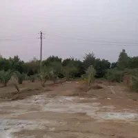 فروش یک هکتارزمین برجاده ملاثانی