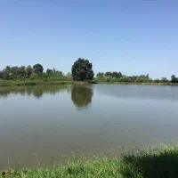 فروش-زمین-40هزارمتری-سند-دار-در-حومه-رشت