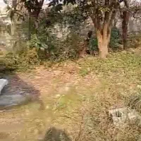 فروش خانه ویلایی