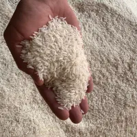 برنج کشت پاکستانی فله