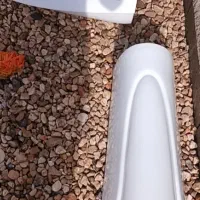 سرشور ایستاده سالم