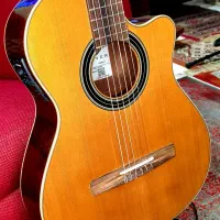 گیتار ALHAMBRA CSLRSE1 فیشمن کلاسیک پاپ اسپانیایی|گیتار، بیس، امپلیفایر|تهران, آذربایجان|دیوار