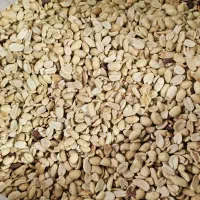 بادام زمینی کره گیری