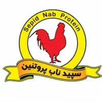 بی خس کار ماهر مرغ