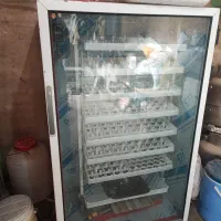 دستگاه جوجه کشی مشهد برق|لوازم جانبی حیوانات|کاشمر, |دیوار