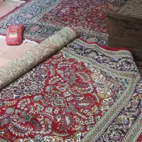 فرش|فرش|مشهد, کوی پلیس|دیوار