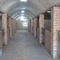 مجموعه پرورش وترین اسب عرب اهورااستاد