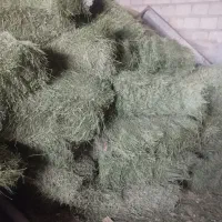 فروش پرس یونجه