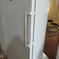 فریزر تکی التکرواستیل 24فوت