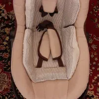 کریر سالم و تمیز