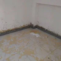 80متر-پیش-فروش-انصاری-سند-تک-یرگ