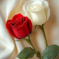 استخدام منشی خانم و آقا