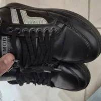 کتانی نو|کیف، کفش، کمربند|گلستان (تهران), |دیوار