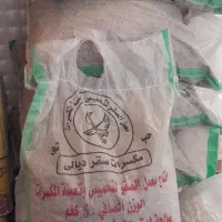تخمه عراقی رانی لوبیا دفتر