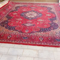 قالی نرم و لطیف|فرش|یزد, |دیوار