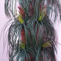 نخل تزئینی بزرگ