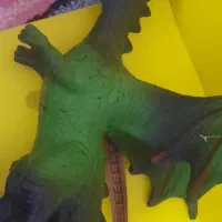 اژدها خارجی کیفیت بالا