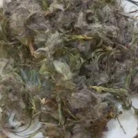 تخم مرغ محلی تازه با کیفیت وآویشن وچای کوهی|خوردنی و آشامیدنی|قزوین, |دیوار