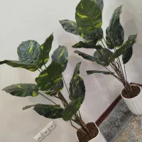 گل پرنده بهشتی|گل مصنوعی|دورود, |دیوار