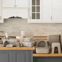 سرویس پلاسکو