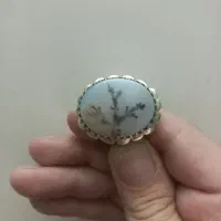 انگشتر شجر