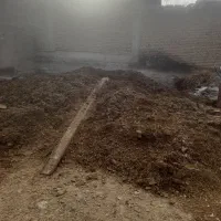 کود گاوی|لوازم جانبی حیوانات|خوی, |دیوار