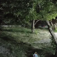 اجاره روزانه/هفتگی/ماهانه ویلا ۹۰۰ متری|اجارهٔ کوتاه‌مدت ویلا و باغ|بروجرد, |دیوار