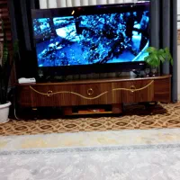 زیر تلویزیونی