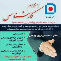 استخدامی