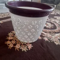 سبد بزرگ